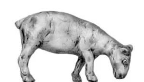 Merino flock (28mm) - Image 5