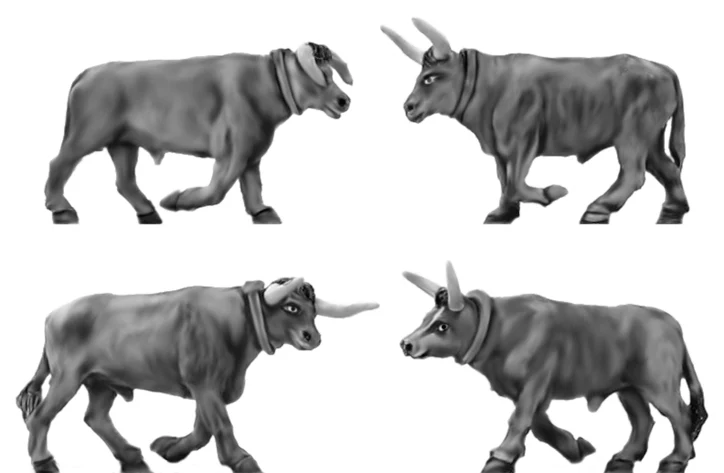 NEW - Pair of long horned oxen (18mm)