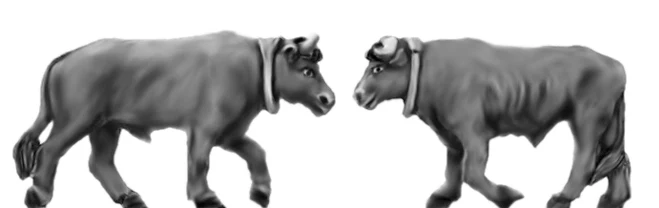 NEW - Pair of short horned oxen (18mm)