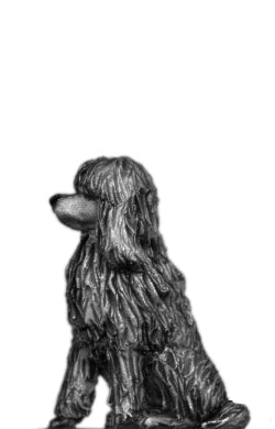 Poodle Dishevelled  (28mm)