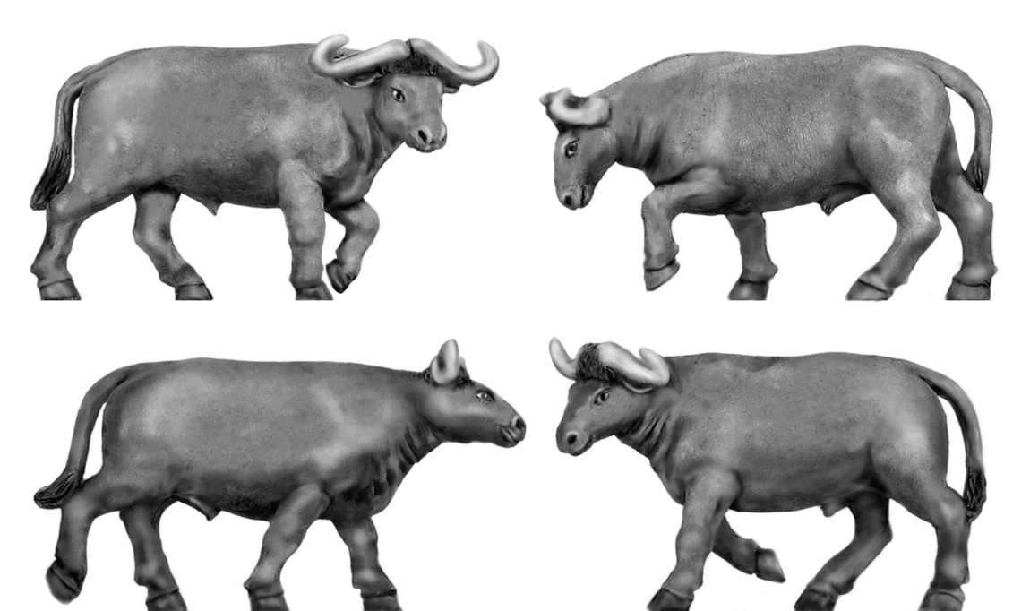 Water buffalo (28mm)