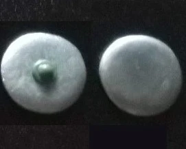 Welsh Shields x6 (28mm)